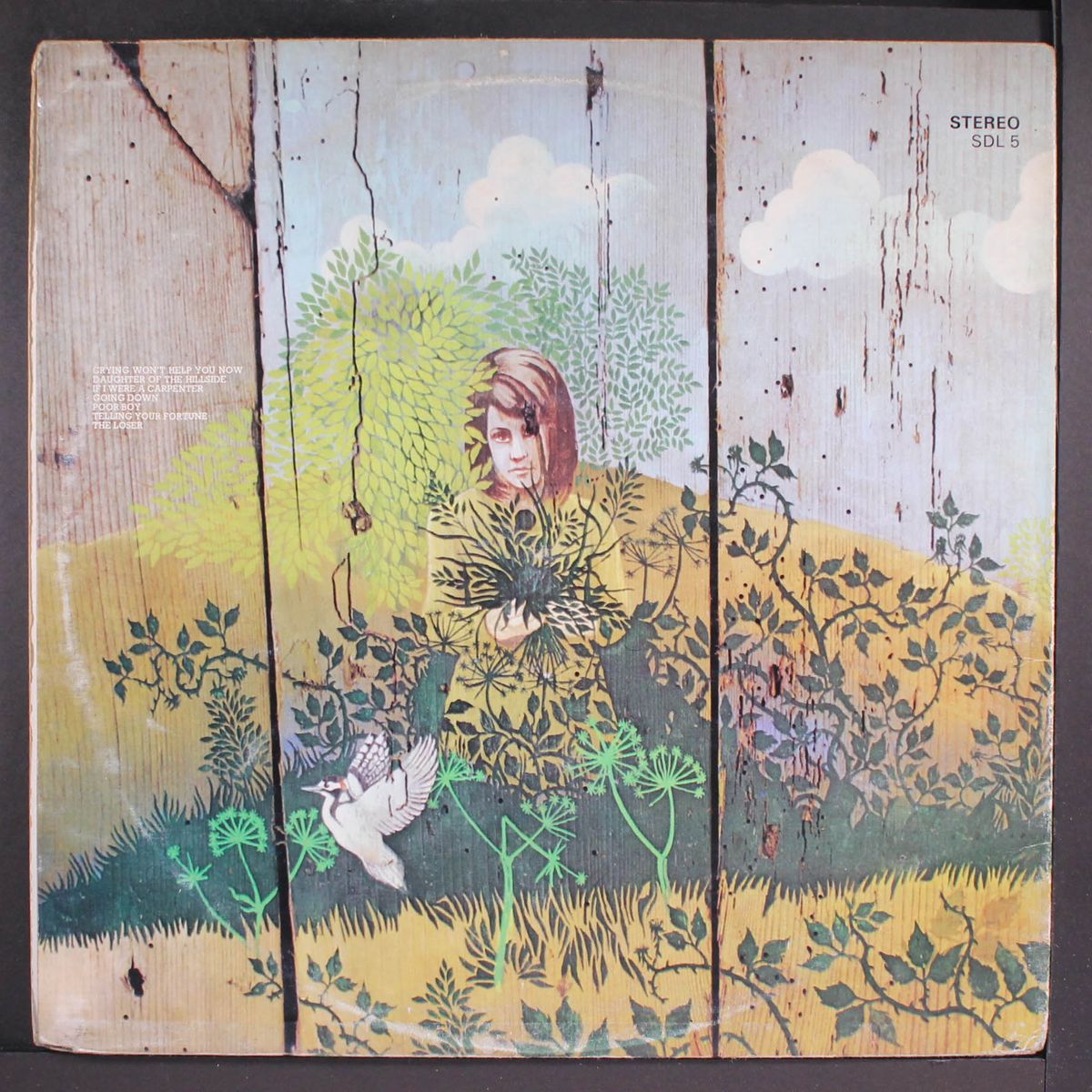 imagination lady by CHICKEN SHACK
