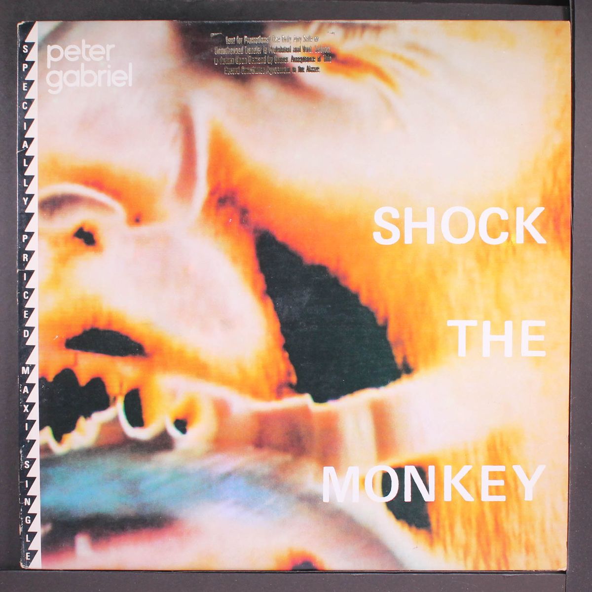 shock the monkey by PETER GABRIEL
