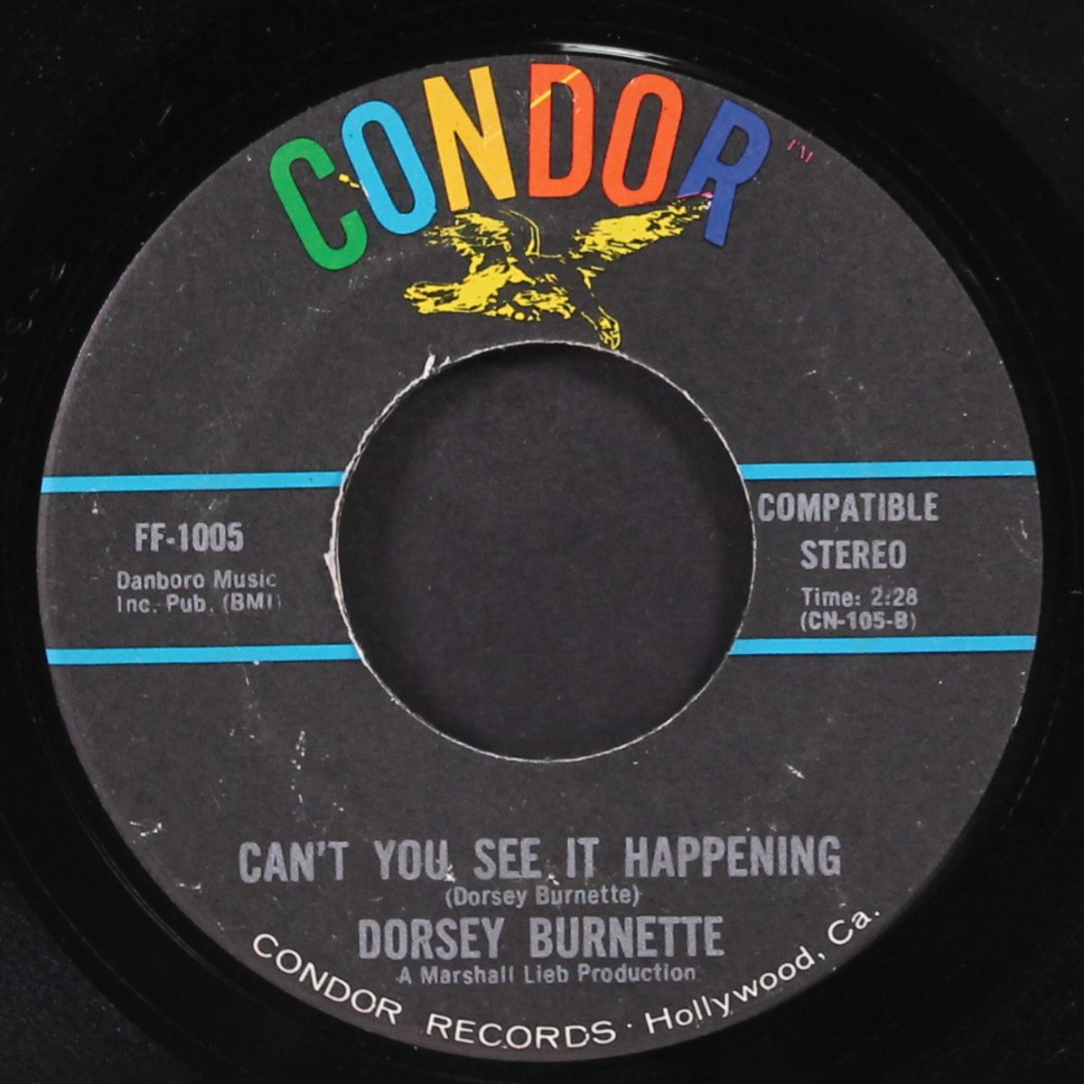 the magnificent sanctuary band / can't you see it happening by DORSEY BURNETTE