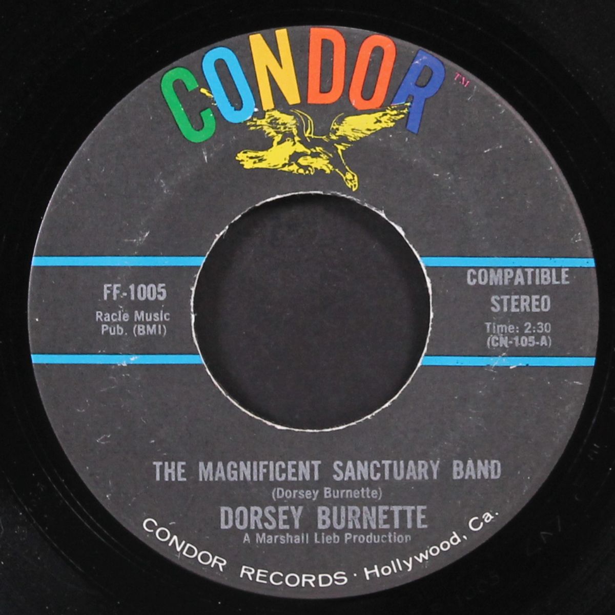 the magnificent sanctuary band / can't you see it happening by DORSEY BURNETTE