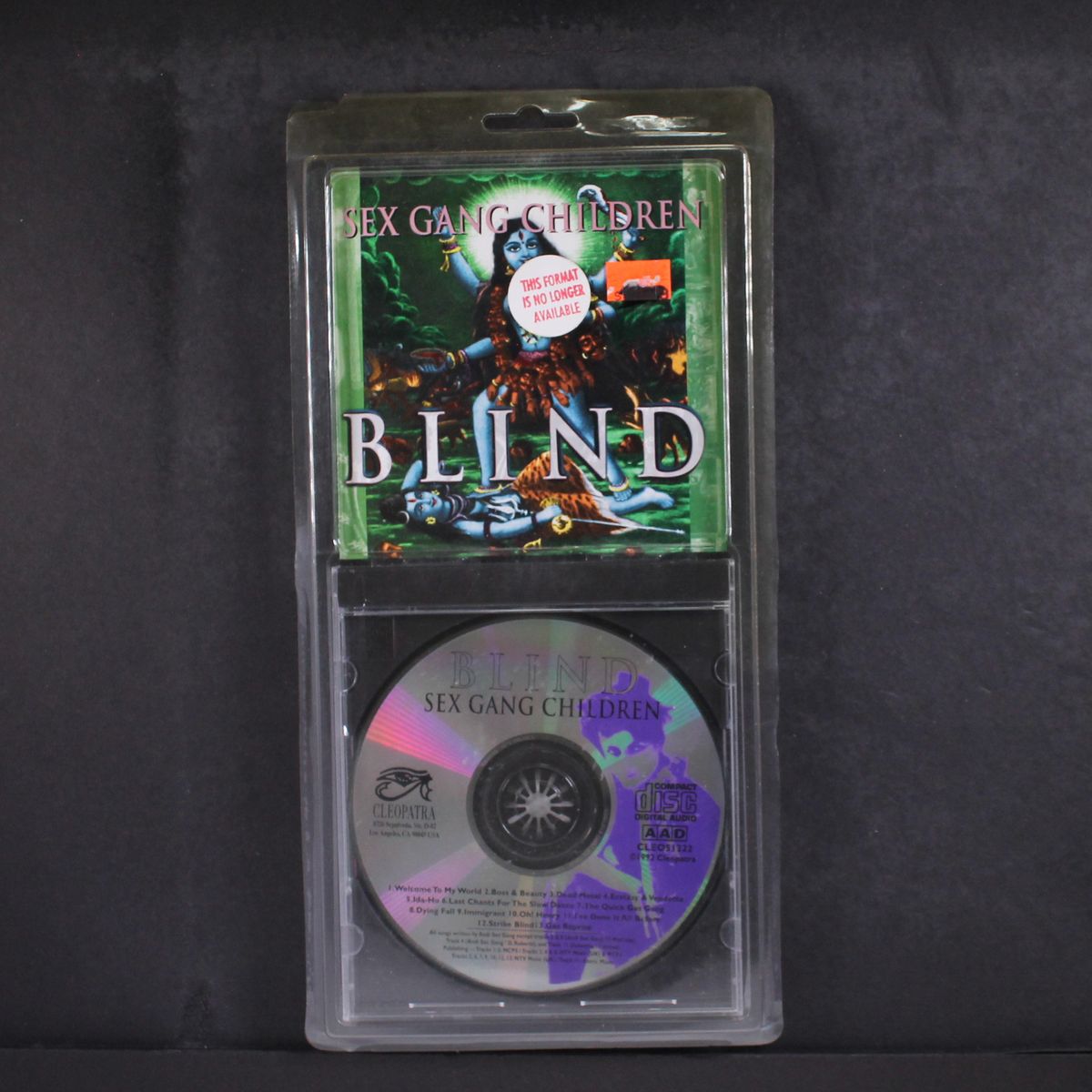blind by SEX GANG CHILDREN
