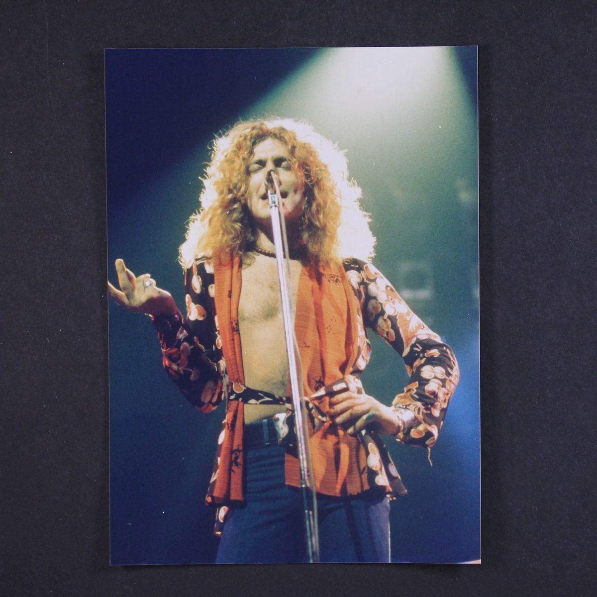1973 interview by LED ZEPPELIN