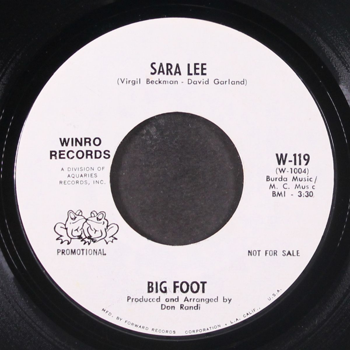 i keep on holding on / sara lee by BIG FOOT