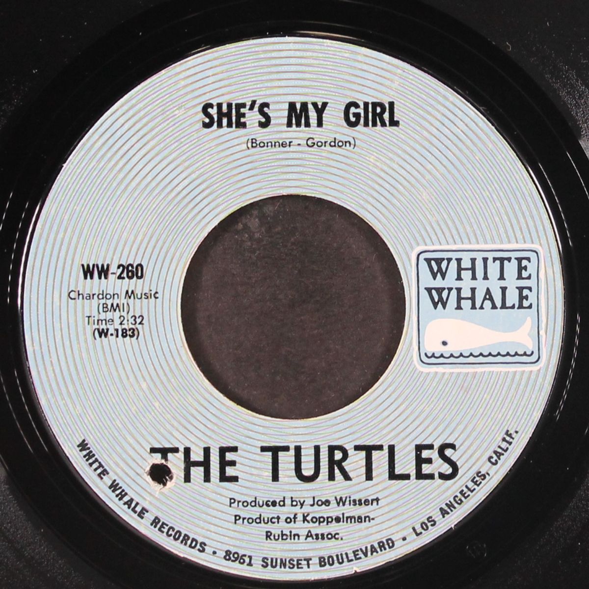 she's my girl / chicken little was right by TURTLES