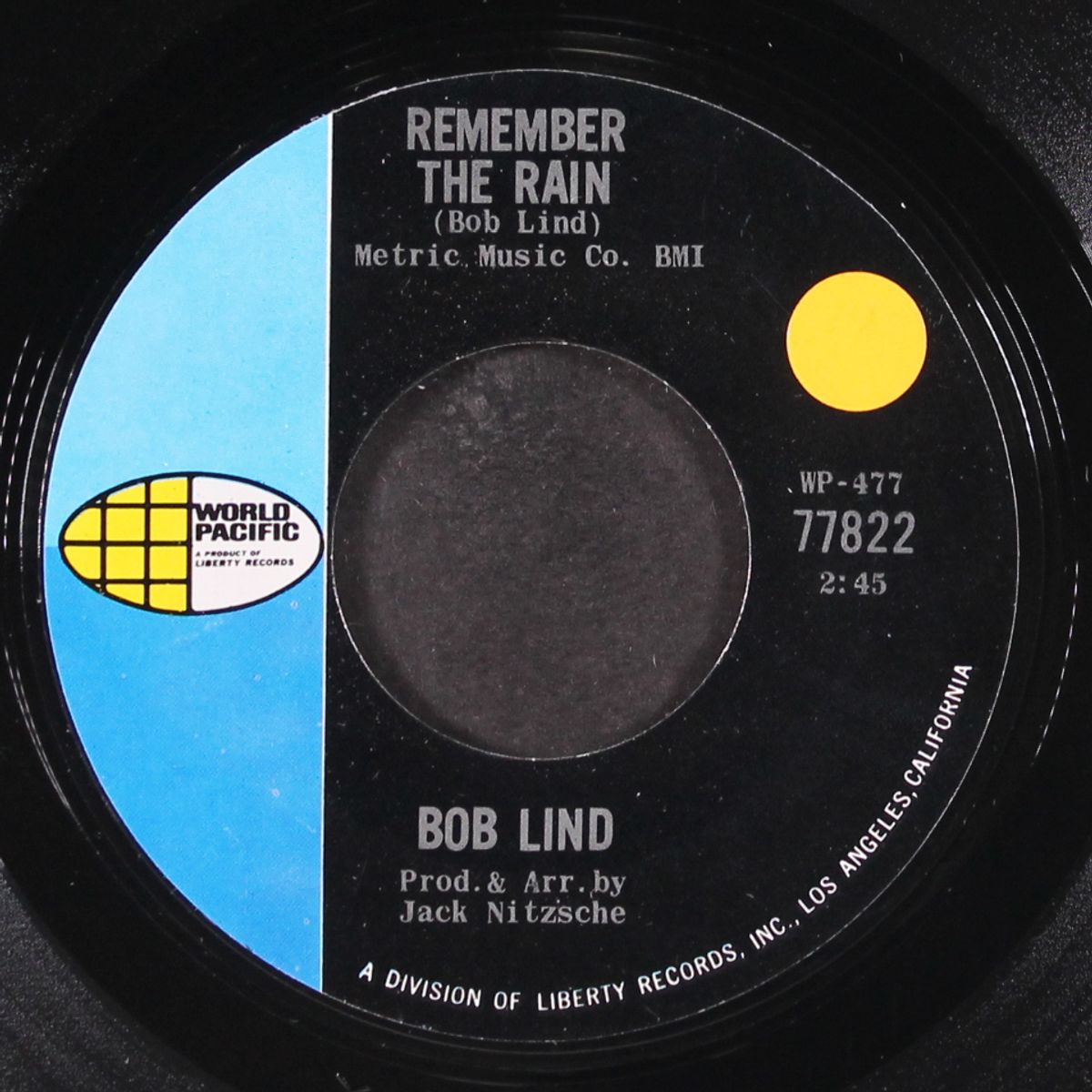 remember the rain by BOB LIND