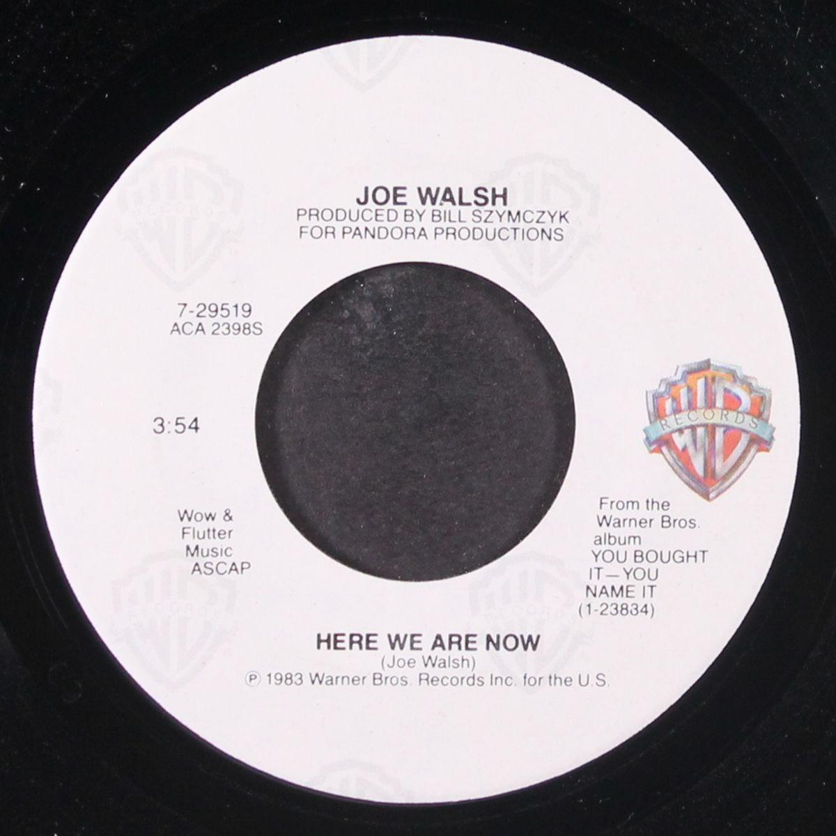 i can play that rock & roll / here we are now by JOE WALSH