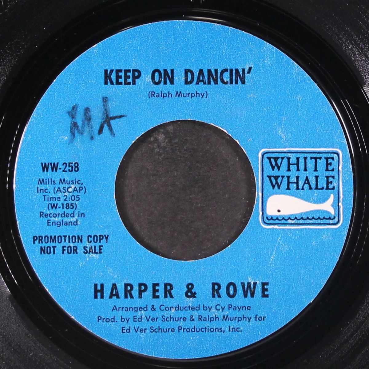 on the roof top by HARPER & ROWE