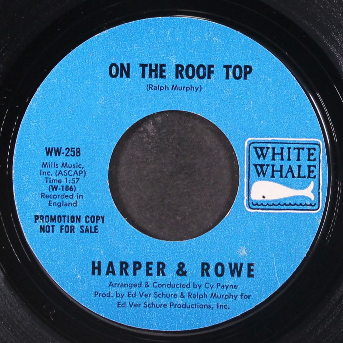 on the roof top by HARPER & ROWE