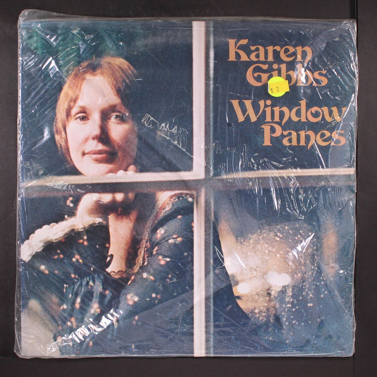 window panes by KAREN GIBBS