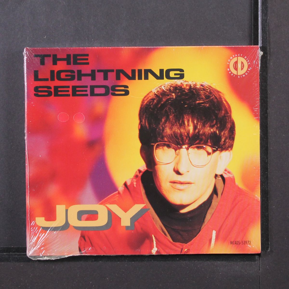 joy by LIGHTNING SEEDS