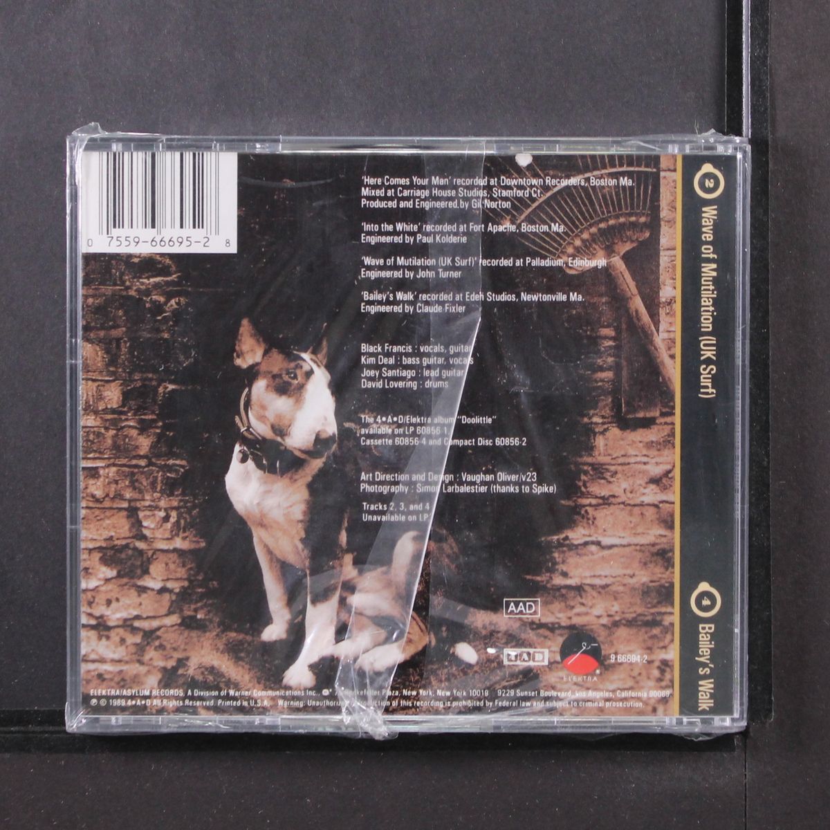 here comes your man by PIXIES
