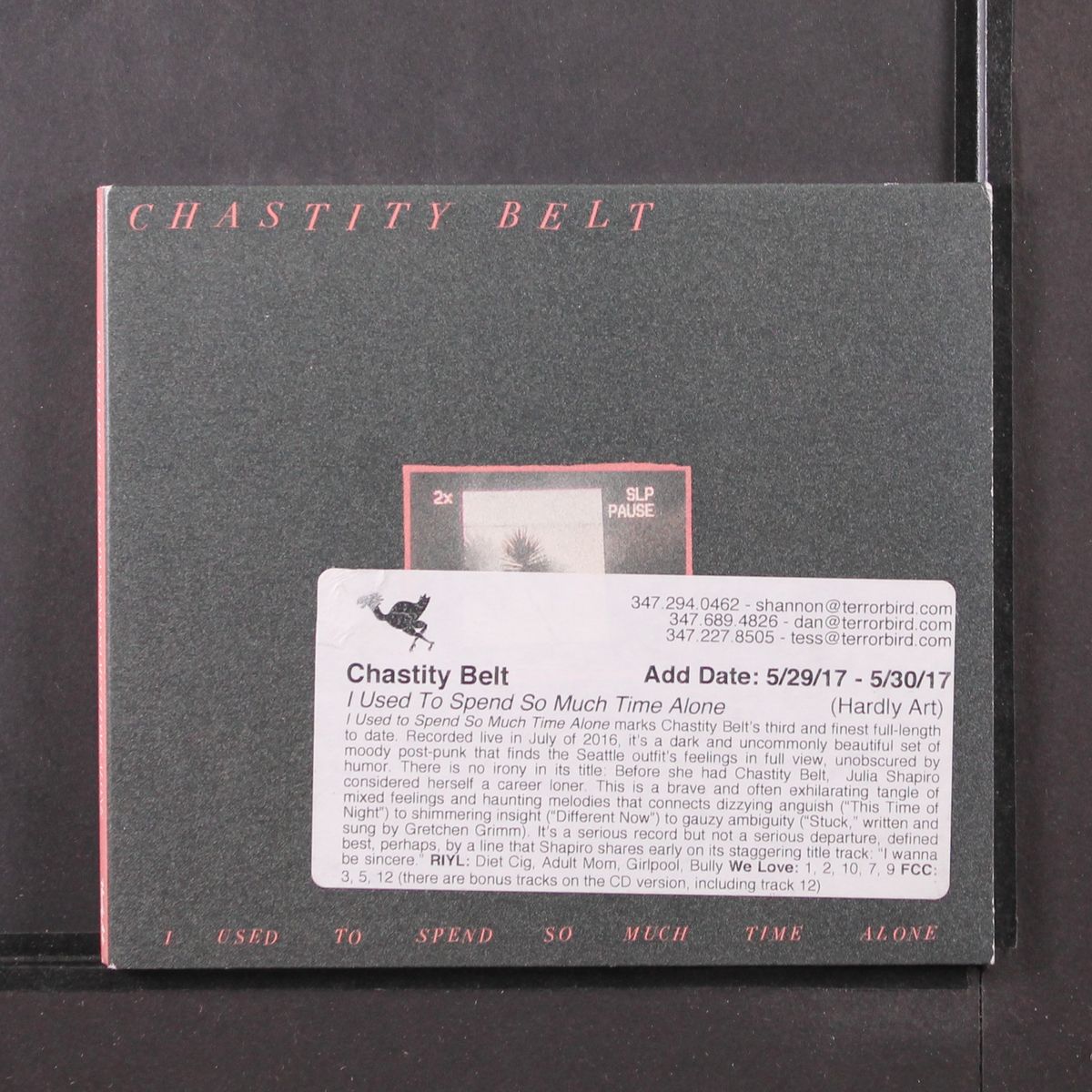 i used to spend so much time alone by CHASTITY BELT