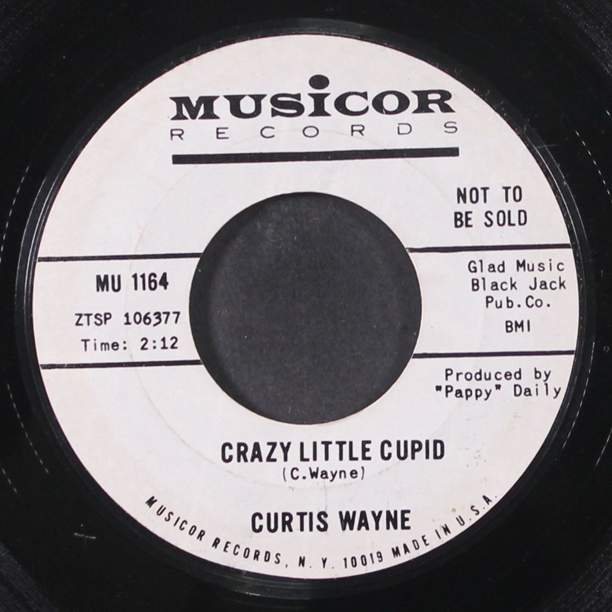 crazy little cupid by CURTIS WAYNE