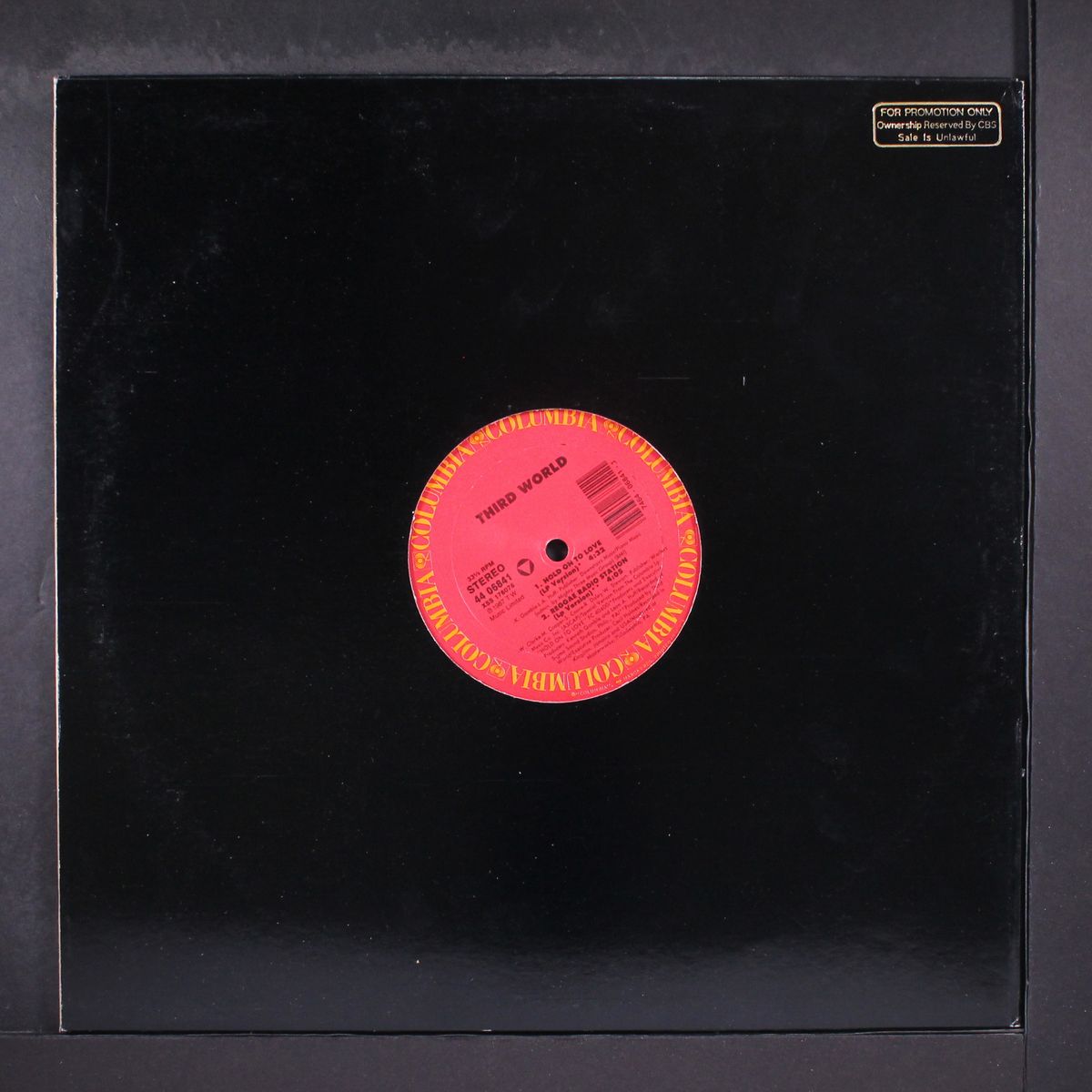 hold on to love by THIRD WORLD