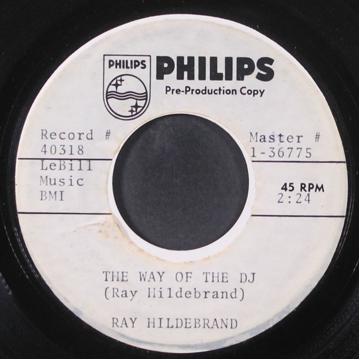 the way of the dj / blank by RAY HILDEBRAND