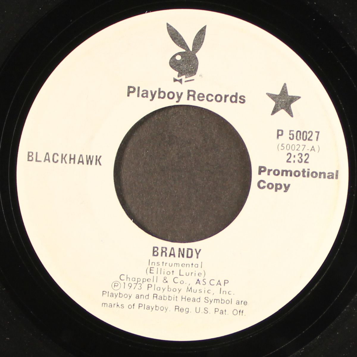 slaughter-fly gets the shaft / brandy by BLACKHAWK