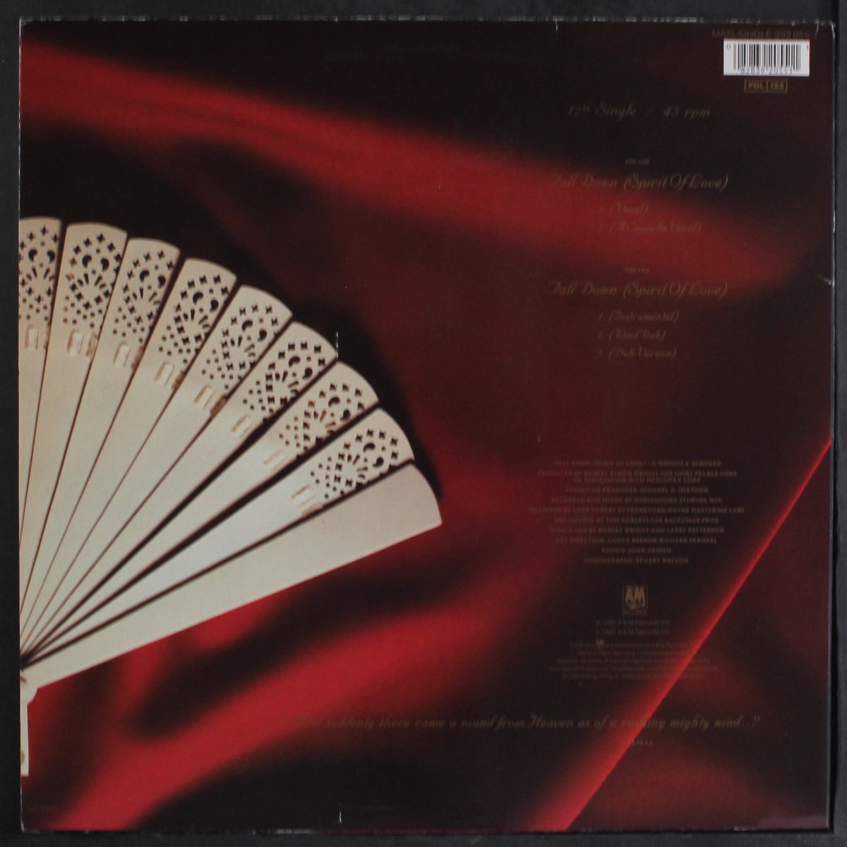 fall down (spirit of love (5 mixes)) by TRAMAINE