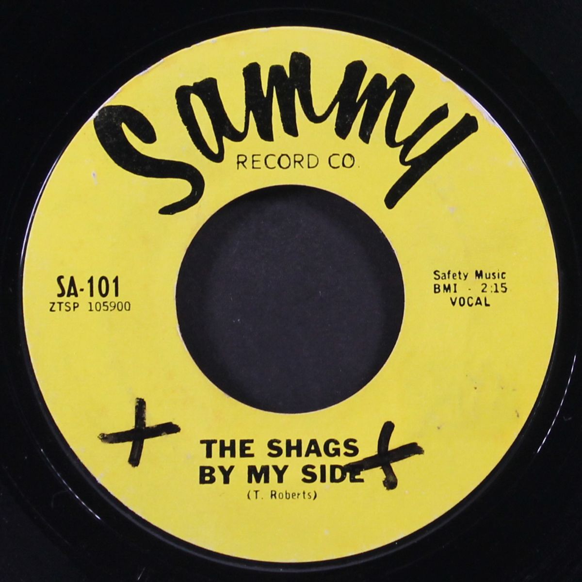 cause of you / by my side by SHAGS