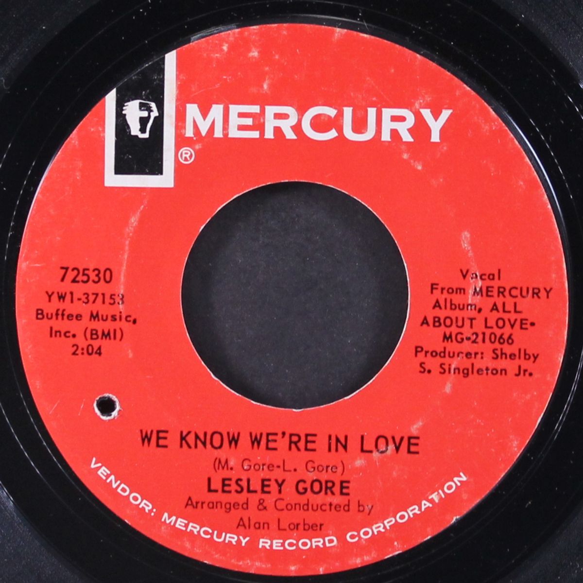 we know we're in love / that's what i'll do by LESLEY GORE