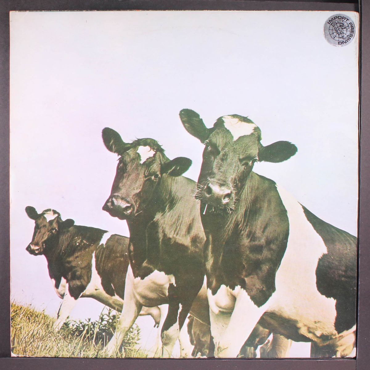 atom heart mother by PINK FLOYD