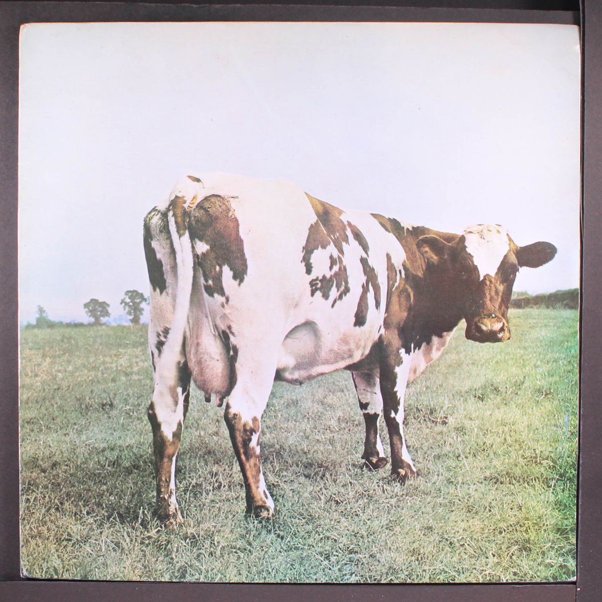 atom heart mother by PINK FLOYD