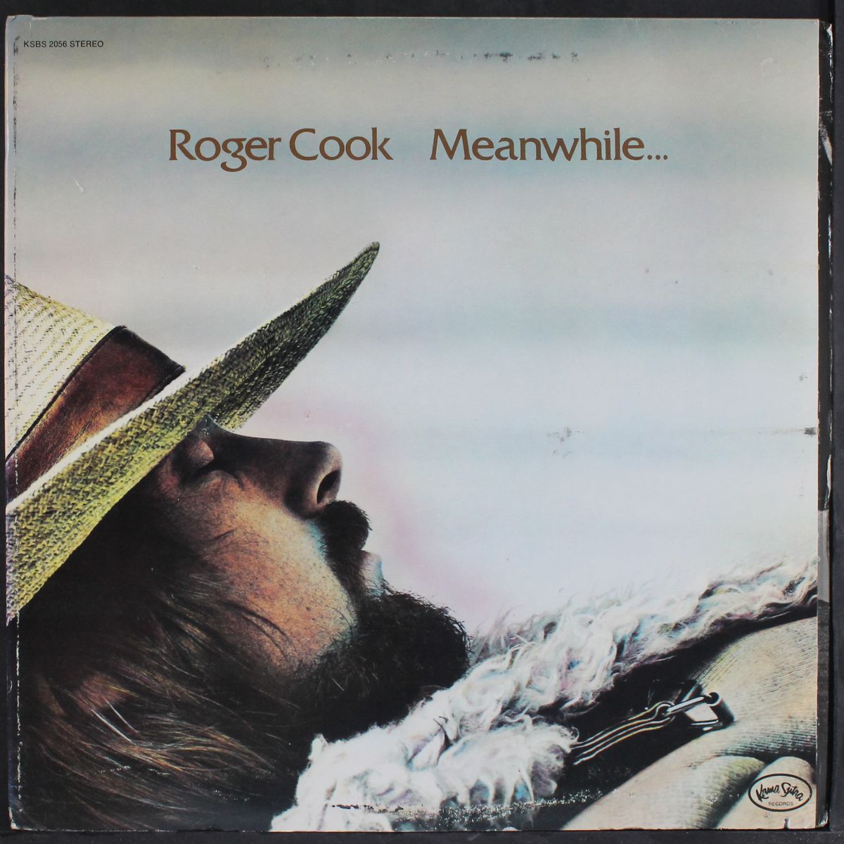 meanwhile...back at the world by ROGER COOK