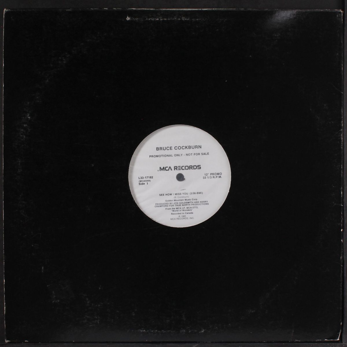 see how i miss you / same by BRUCE COCKBURN