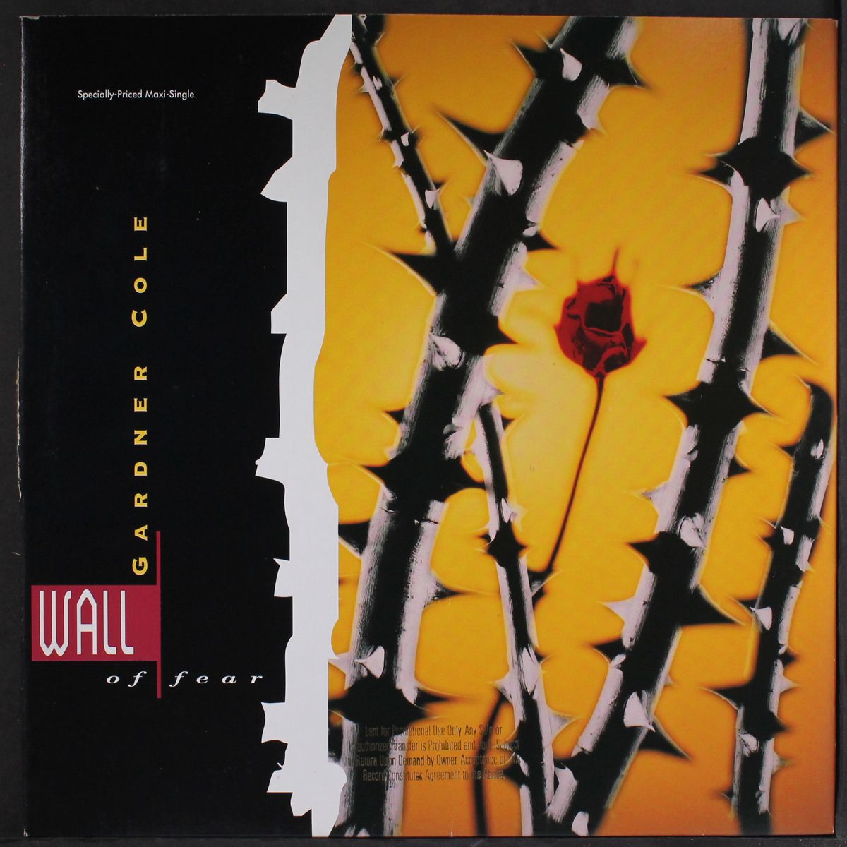 wall of fear by GARDNER COLE
