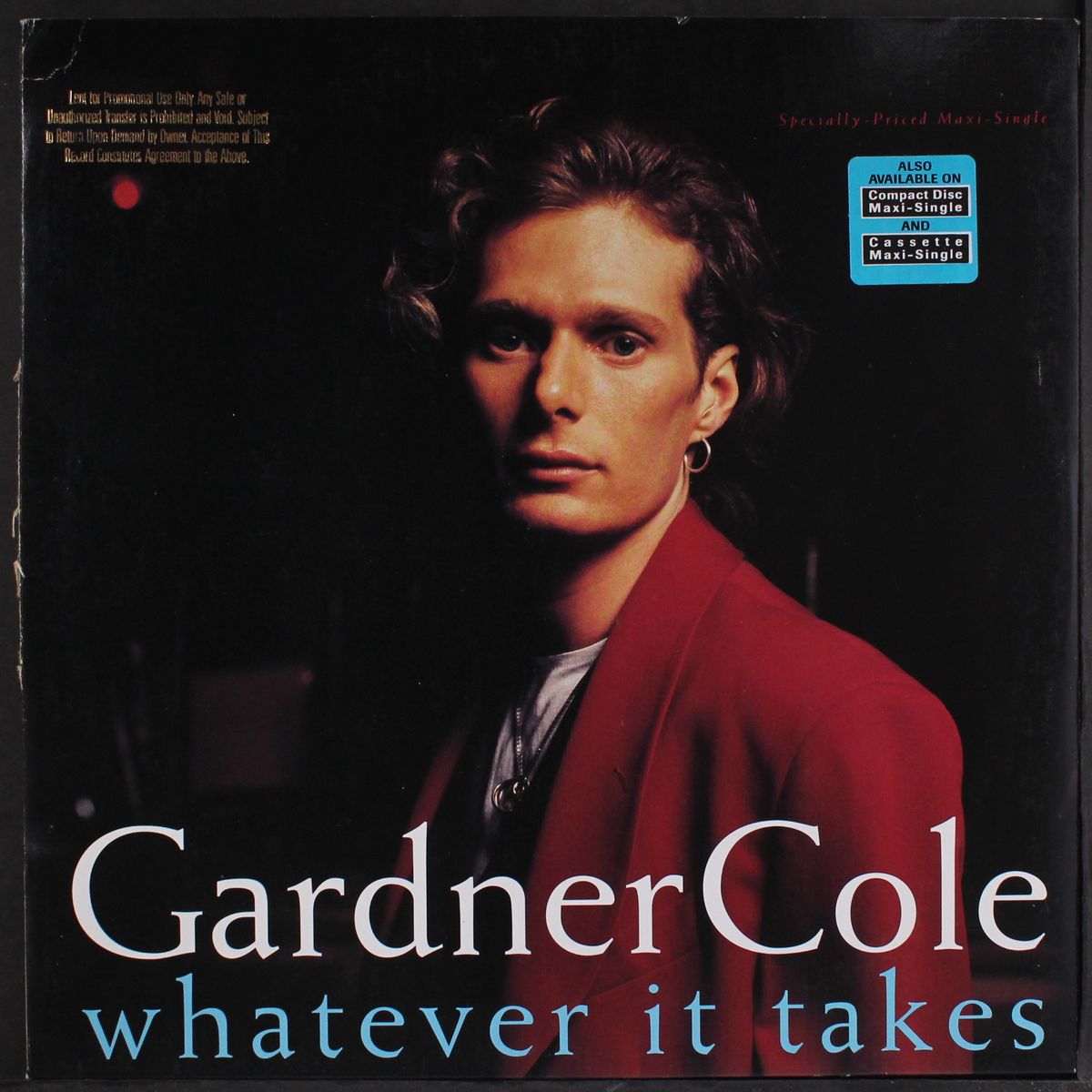 whatever it takes by GARDNER COLE