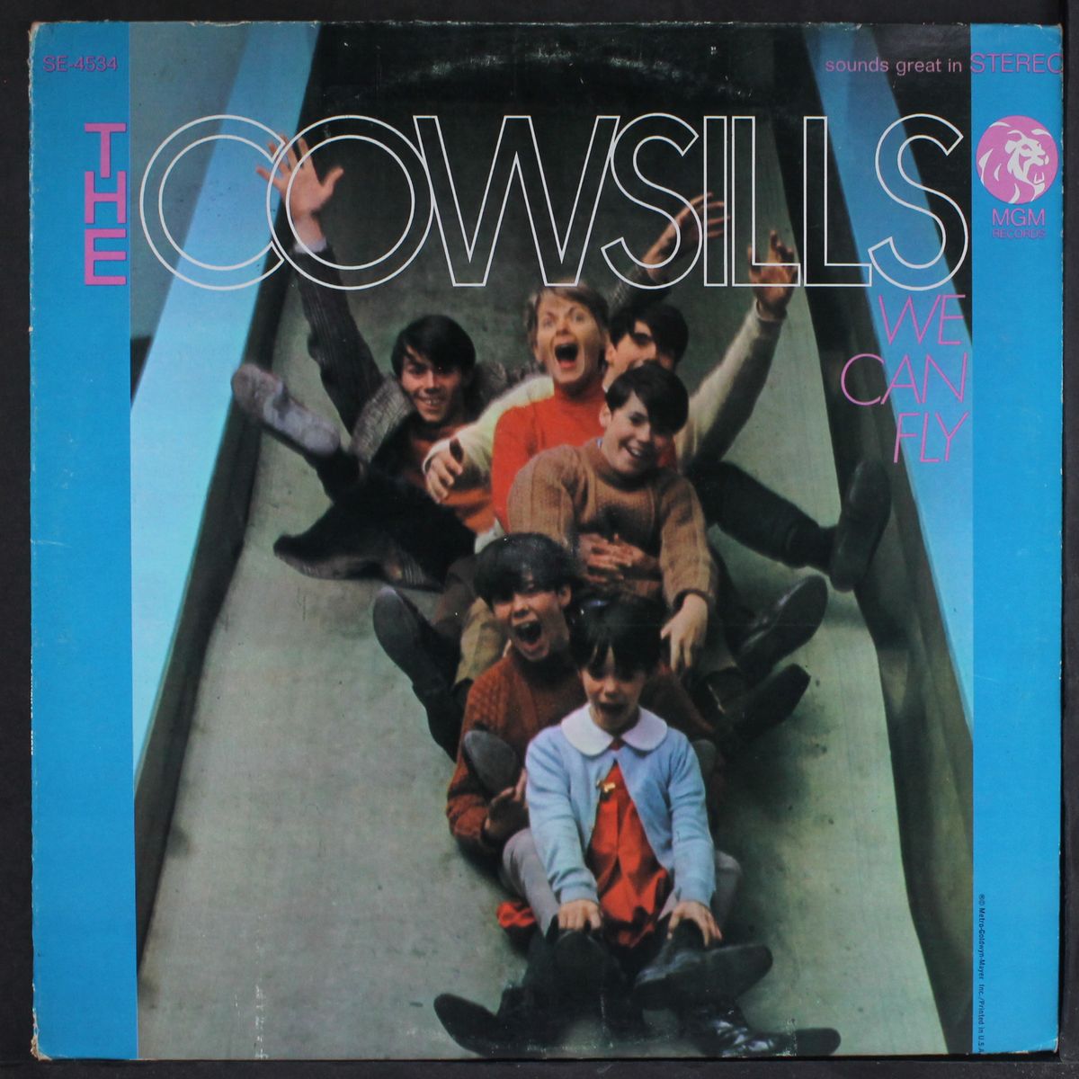 we can fly by COWSILLS