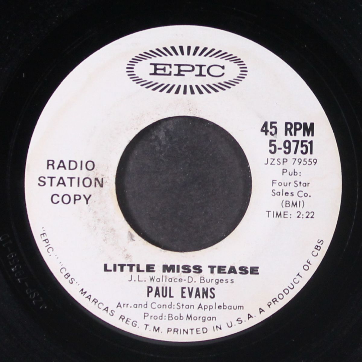 gina marina petunia / little miss tease by PAUL EVANS