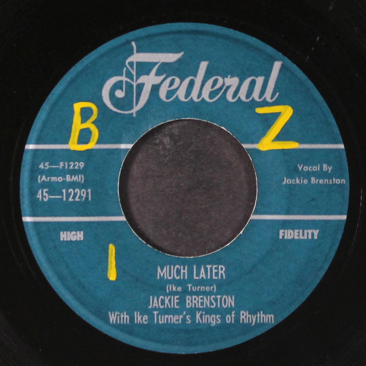 the mistreater / much later by JACKIE BRENSTON