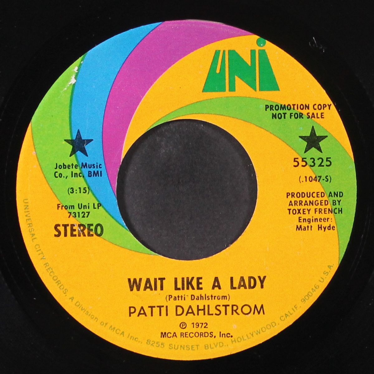 wait like a lady by PATTI DAHLSTROM
