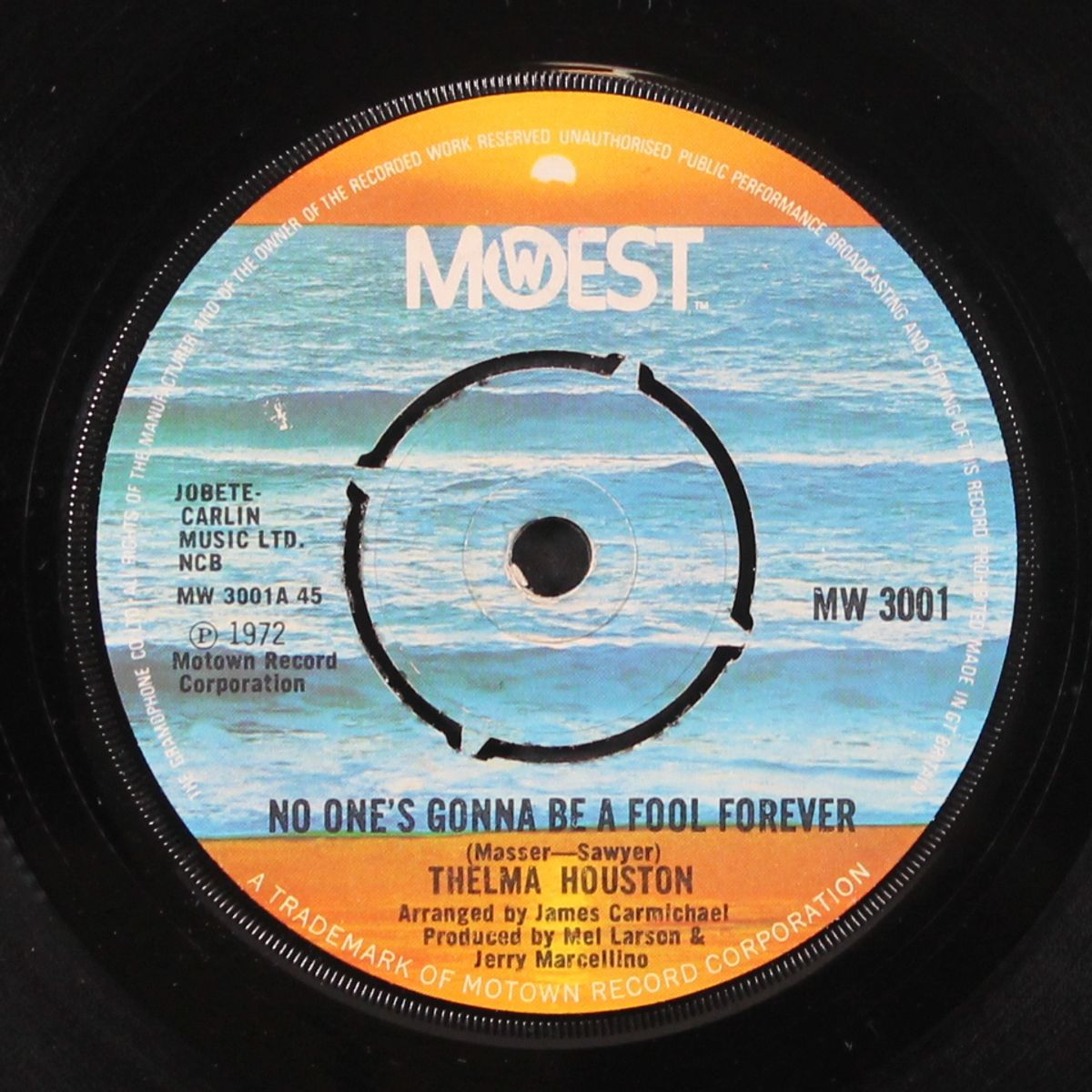 no one's gonna be a fool forever by THELMA HOUSTON