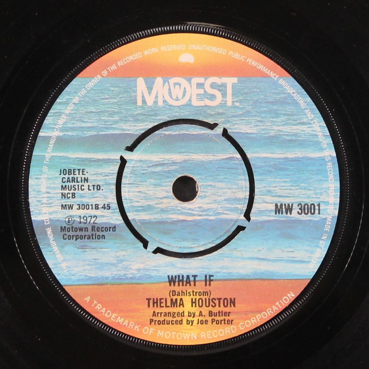 no one's gonna be a fool forever by THELMA HOUSTON