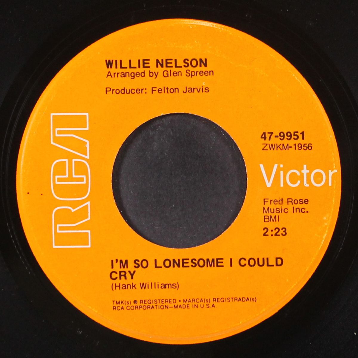 i'm a memory by WILLIE NELSON