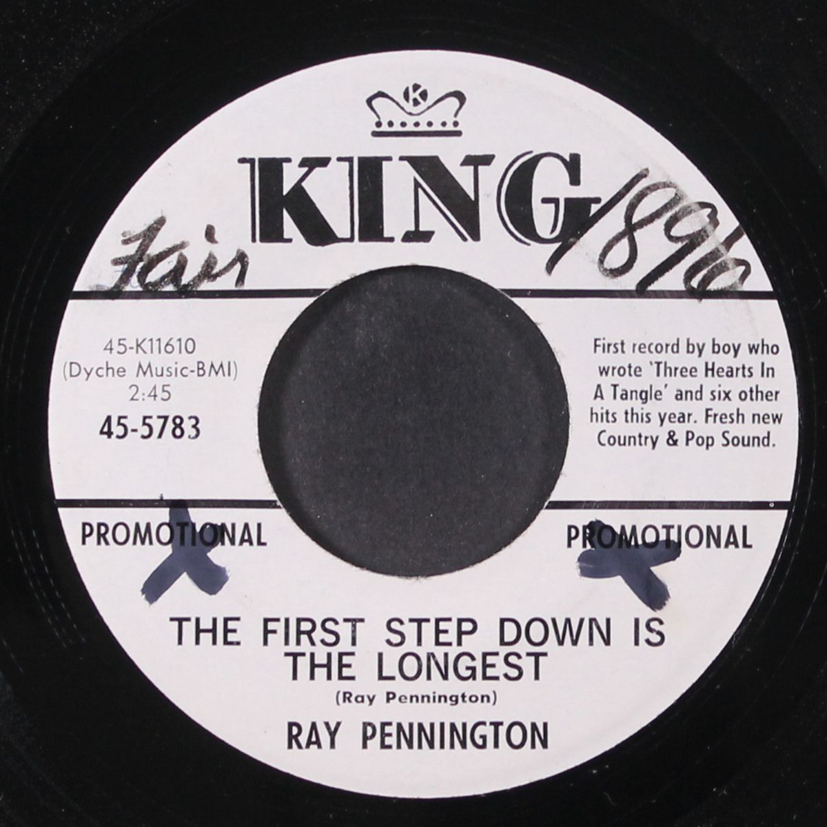 your diary / the first step down is the longest by RAY PENNINGTON