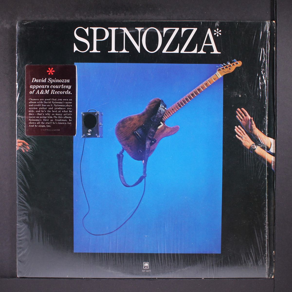 spinozza by DAVID SPINOZZA
