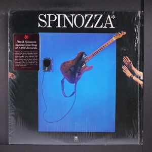 DAVID SPINOZZA