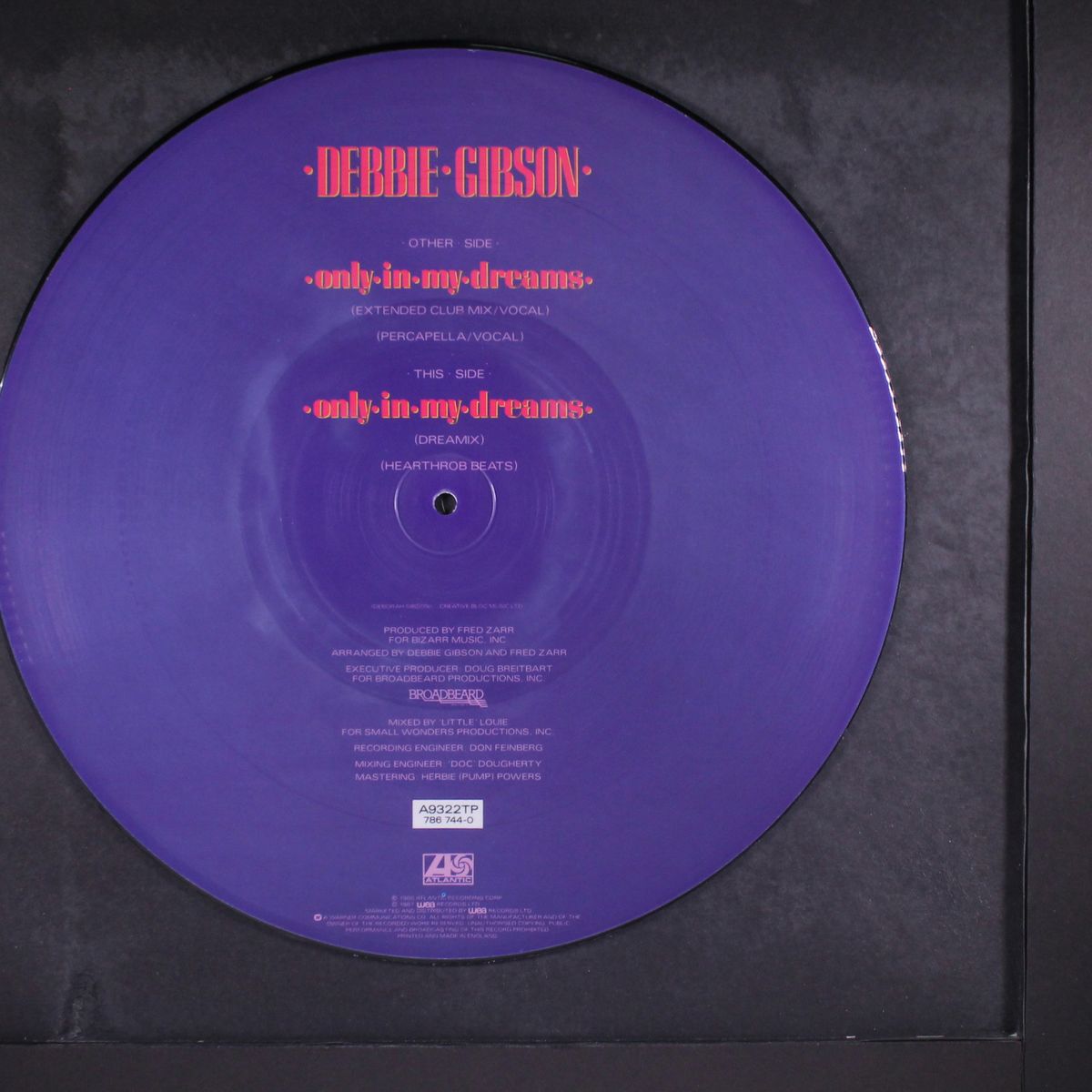 only in my dreams by DEBBIE GIBSON