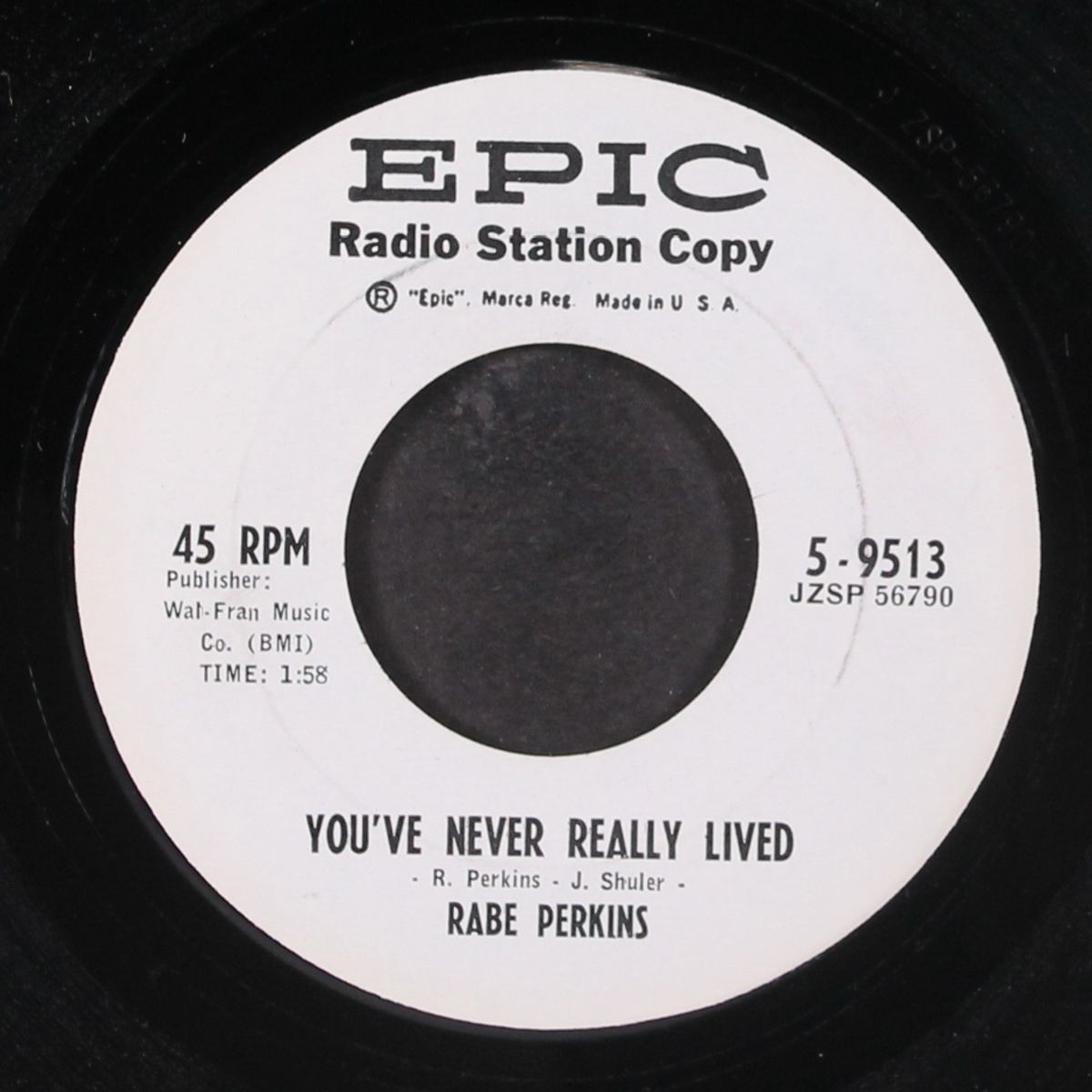 you've never really lived by RABE PERKINS