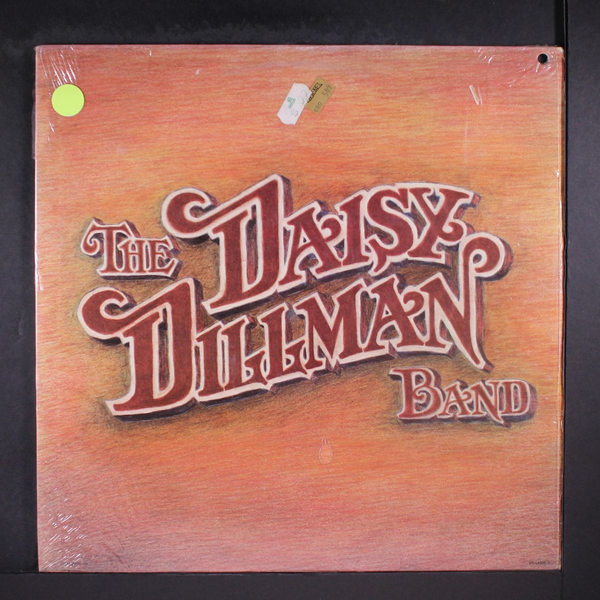 the daisy dillman band by DAISY DILLMAN BAND