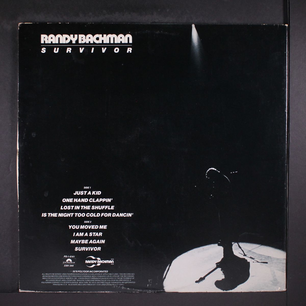 survivor by RANDY BACHMAN