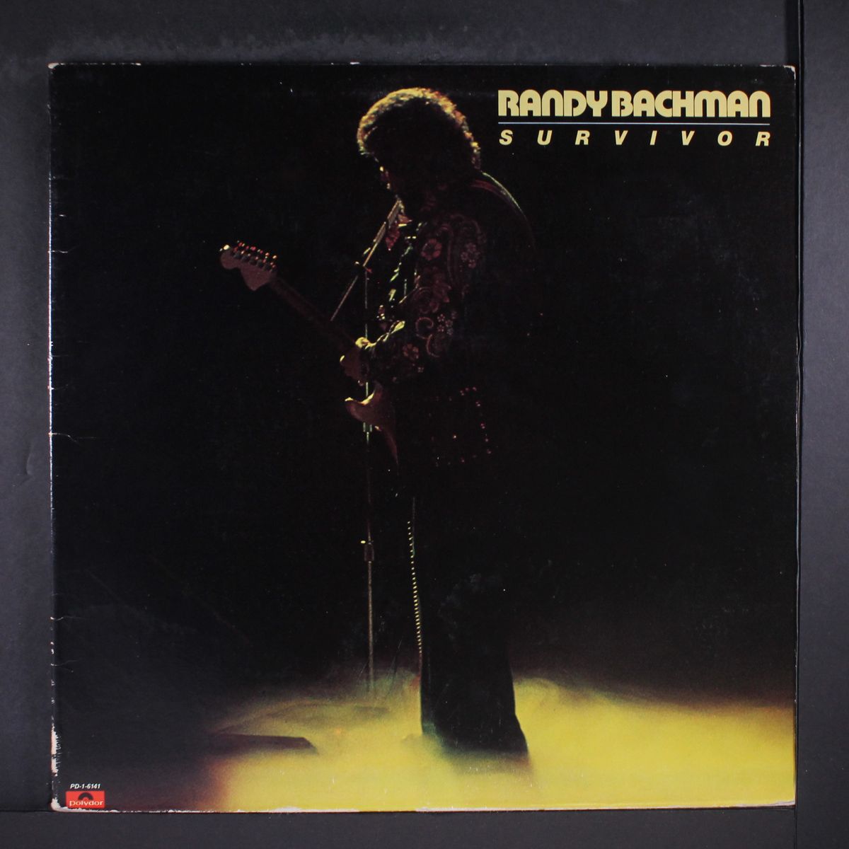 survivor by RANDY BACHMAN