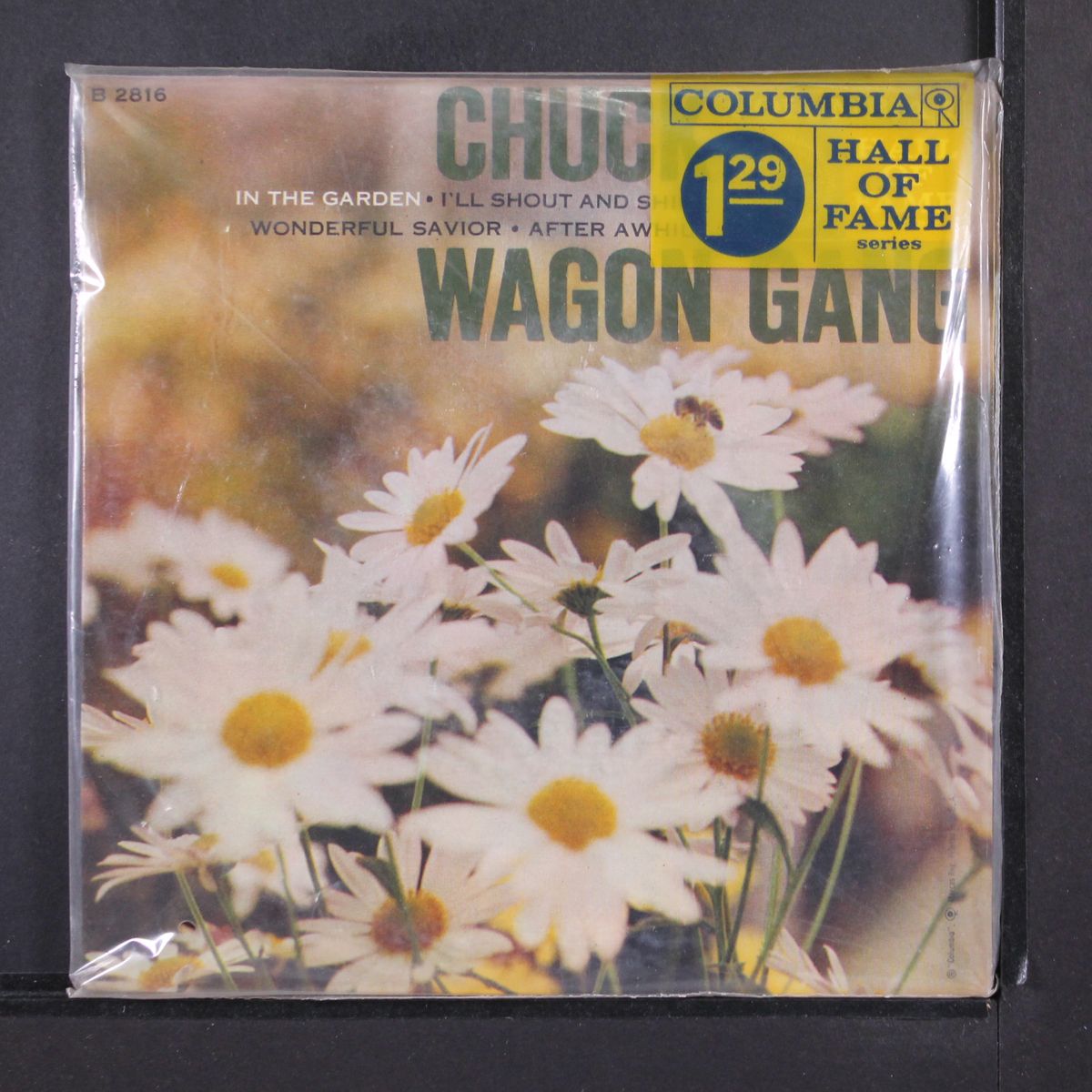 in the garden by CHUCK WAGON GANG