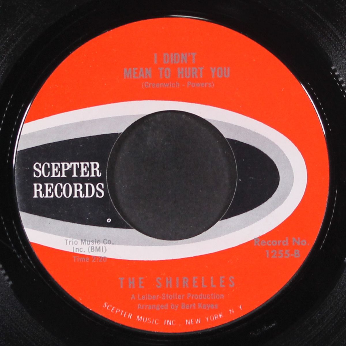 don't say goodnight and mean goodbye / i didn't mean to hurt you by SHIRELLES
