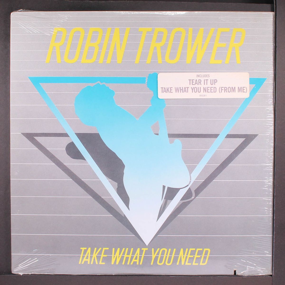 take what you need by ROBIN TROWER
