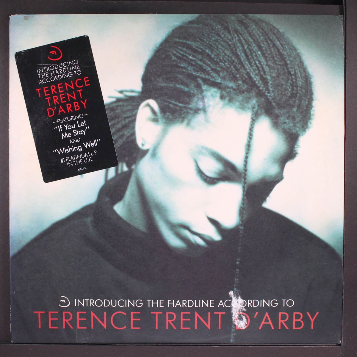introducing the hardline according to terence trent d'arby by TERENCE TRENT D'ARBY