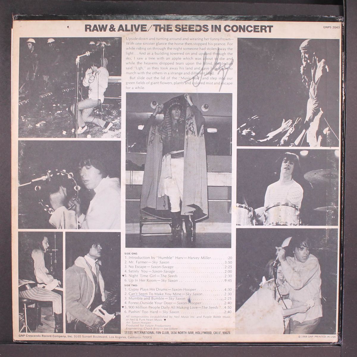 raw & alive by SEEDS