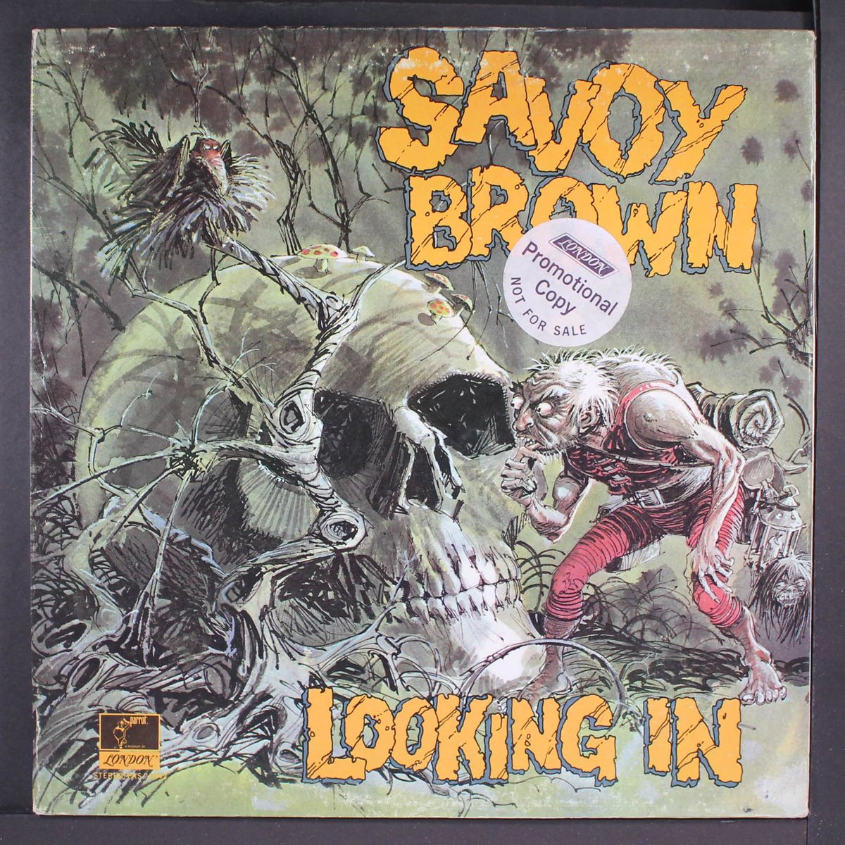 looking in by SAVOY BROWN